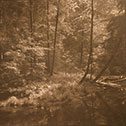 Image with detail of Light Along a Stream II, Hocking Hills, 1997, by Frank Hunter, which is displayed on the seventh floor of the Moyer Judicial Center.